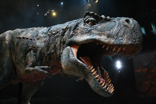 Dinosaur