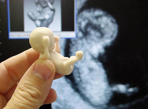life-model-baby