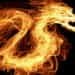 Flame Online Art Program