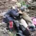The World of Marwencol