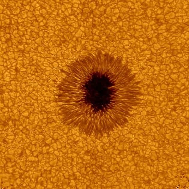 Detailed Sunspot