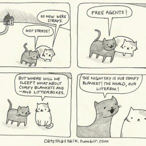 Cats That Talk