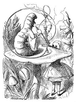 caterpillar in Alice in Wonderland