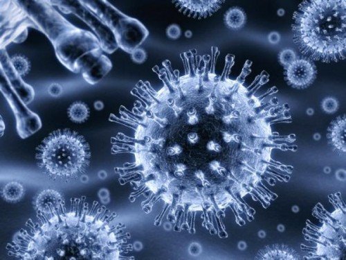 microbes