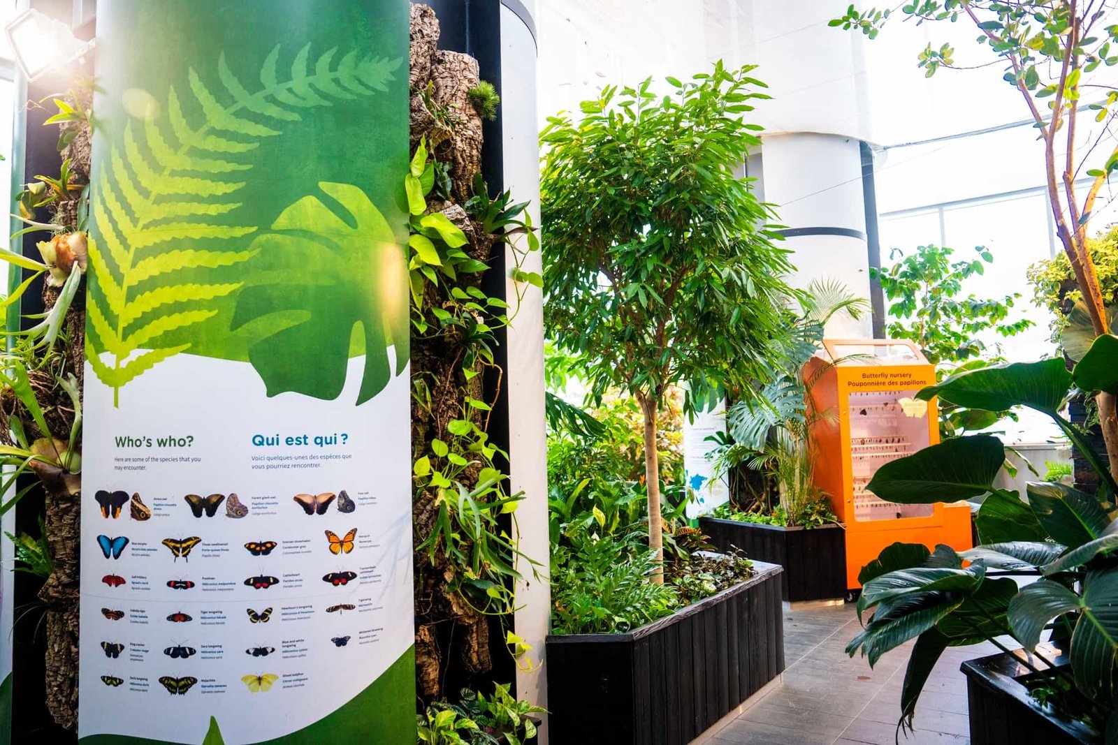 Explore Ottawa's treasures: tour the Royal Canadian Mint, marvel at live butterflies at the Canadian Museum of Nature, and enjoy Winterlude’s icy delights.